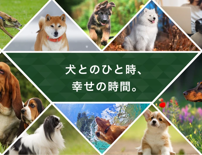 一般社団法人 ジャパンケネルクラブ | 一般社団法人 ジャパンケネルクラブ