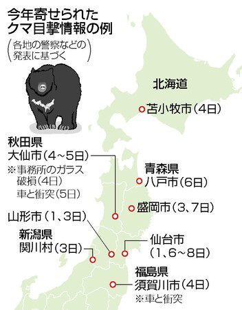 クマ目撃、新年も相次ぐ 車と衝突、事務所ガラス破損も―「餌不足で冬眠