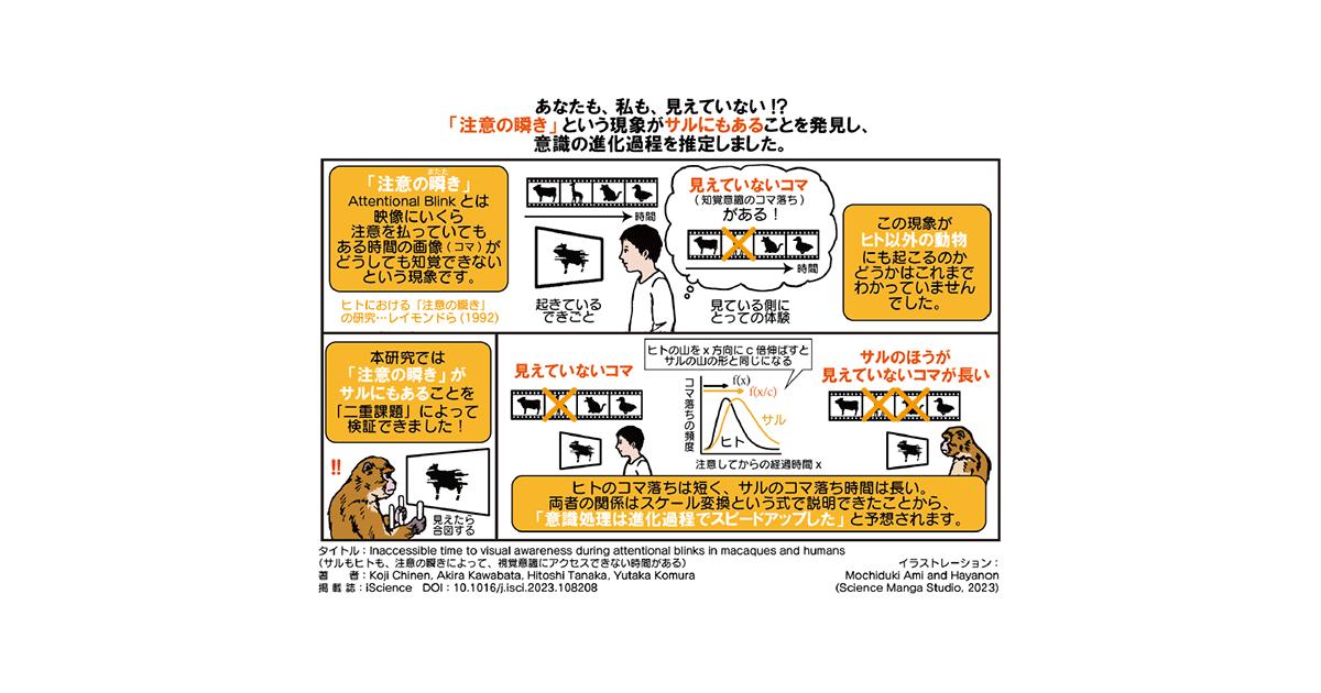 共同発表：知覚のコマ落ちから、意識の時間を可視化～意識の進化的側面