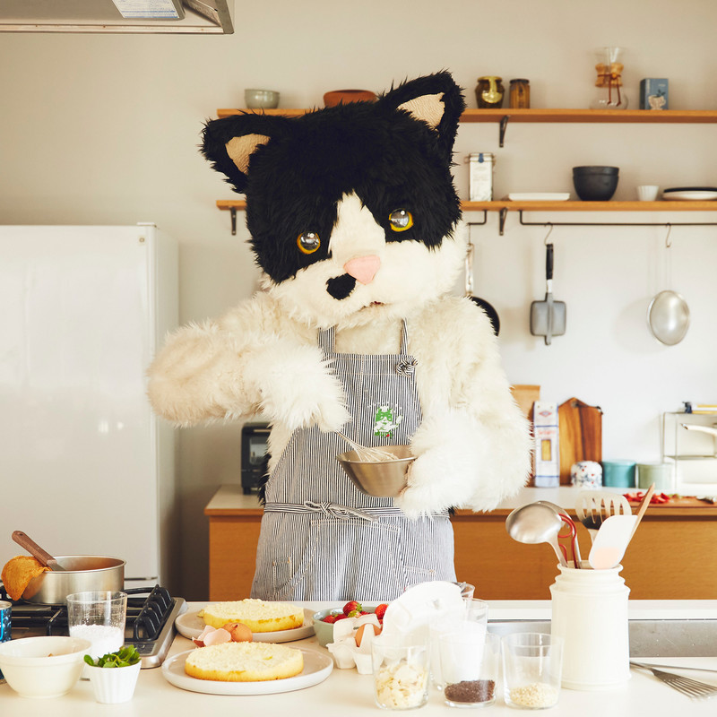 むぎ(猫) | スピードスターレコーズ