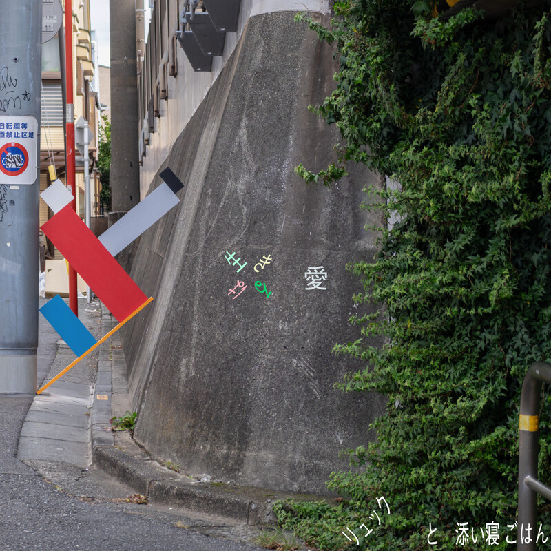 櫻井 敦司 | 愛の惑星 -Collector's Box- | ビクターエンタテインメント