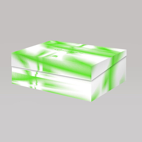 Yogee New Waves | WINDORGAN（ビクターオンラインストア限定盤