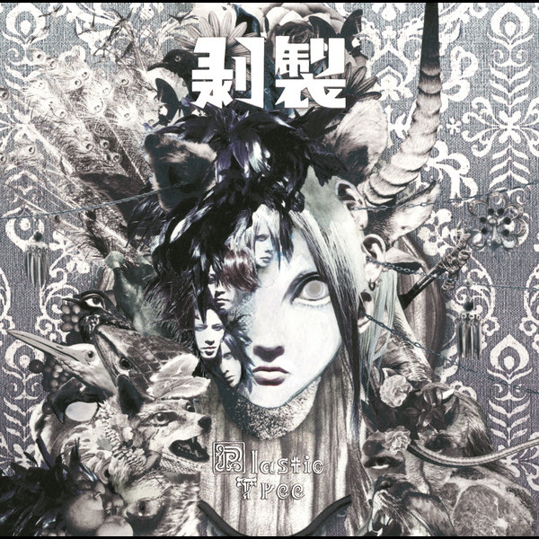 Plastic Tree | 剥製 | ビクターエンタテインメント