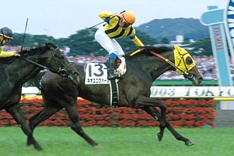 JRAホームページ｜データファイル｜競走成績データ