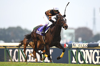 第36回 ジャパンカップ 全馬単勝馬券 キタサンブラック 第36回