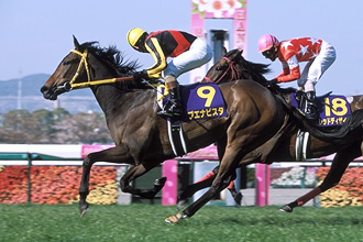 JRAホームページ｜データファイル｜競走成績データ