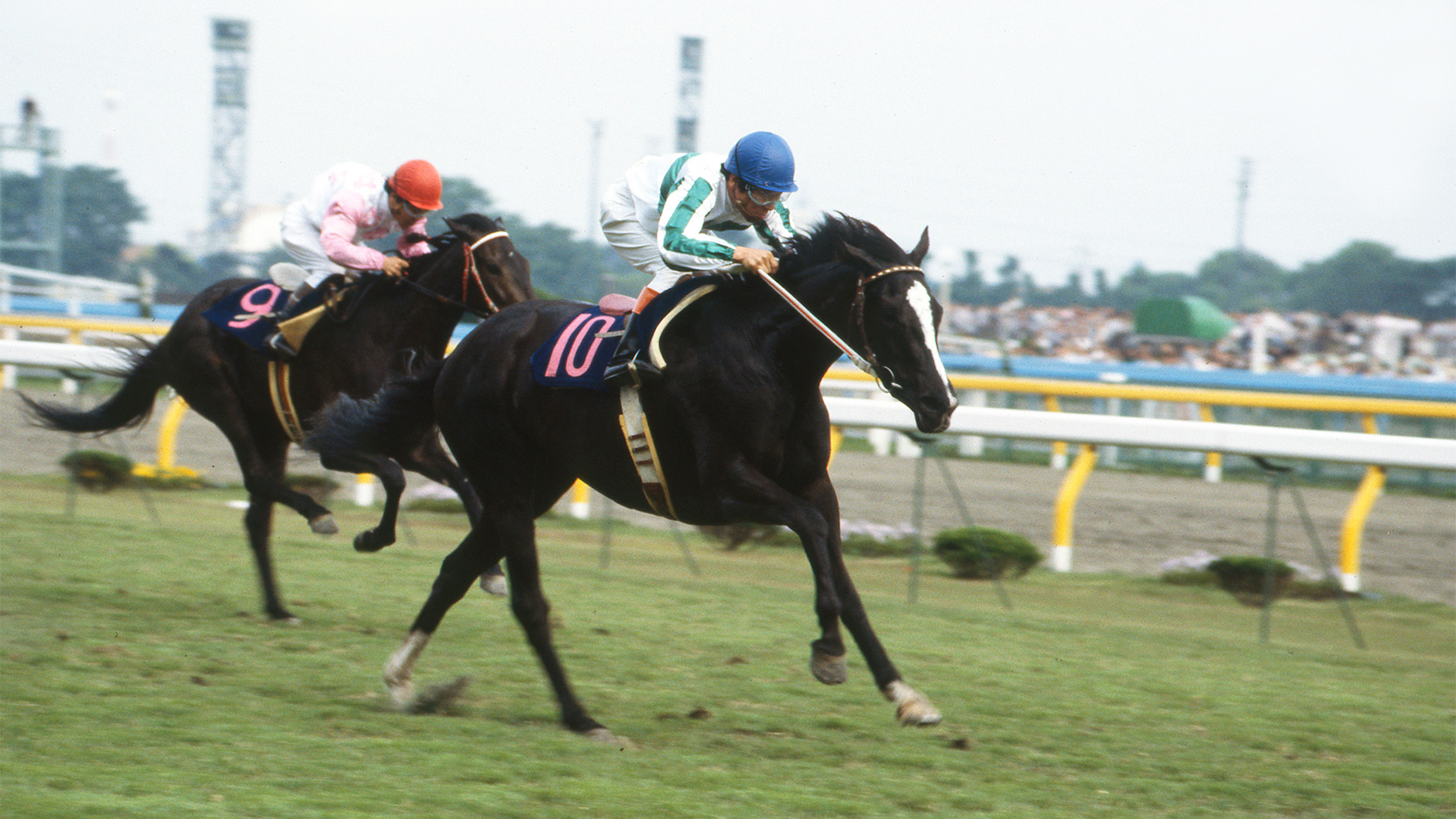 メジロラモーヌ：競馬の殿堂 JRA