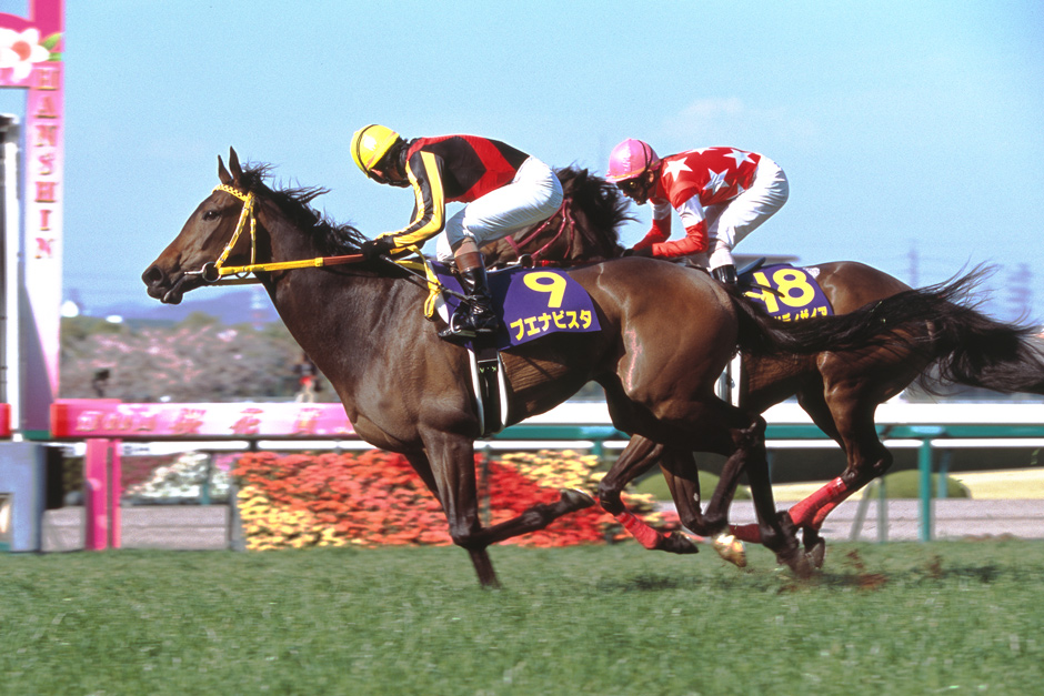 ブエナビスタ｜3分でわかった気になる名馬 JRA