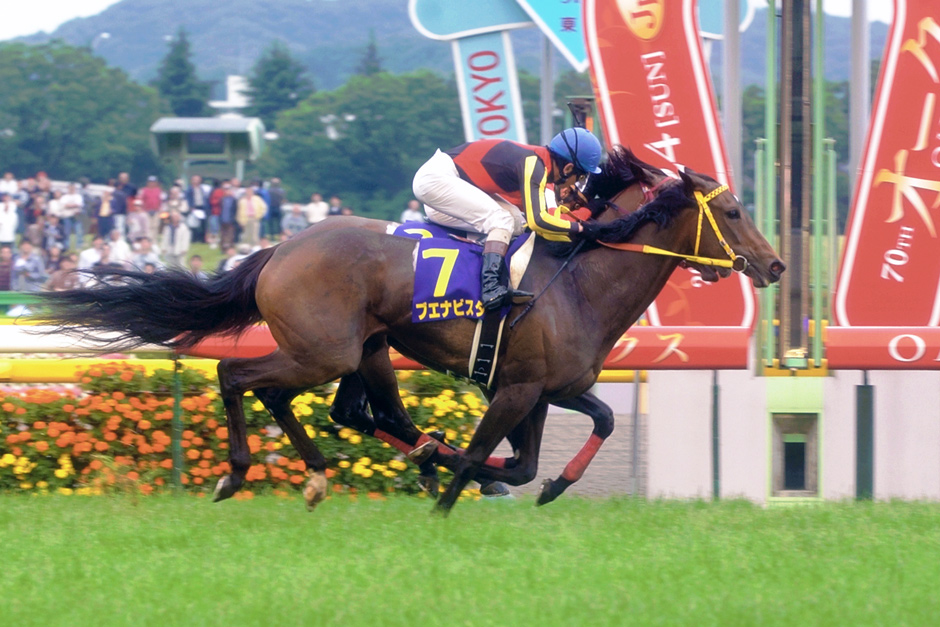 ブエナビスタ｜3分でわかった気になる名馬 JRA