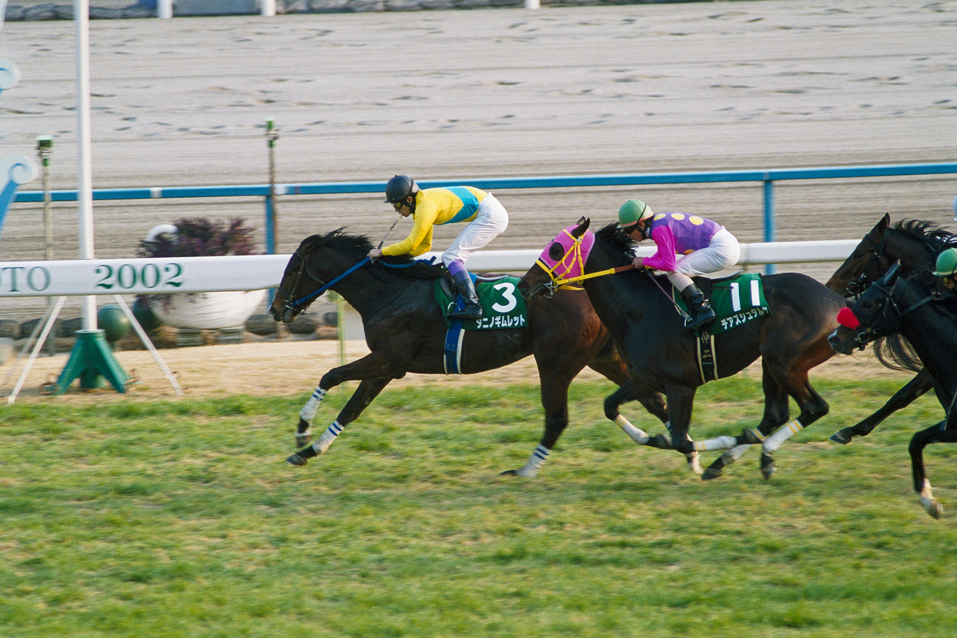 タニノギムレット｜3分でわかった気になる名馬 JRA