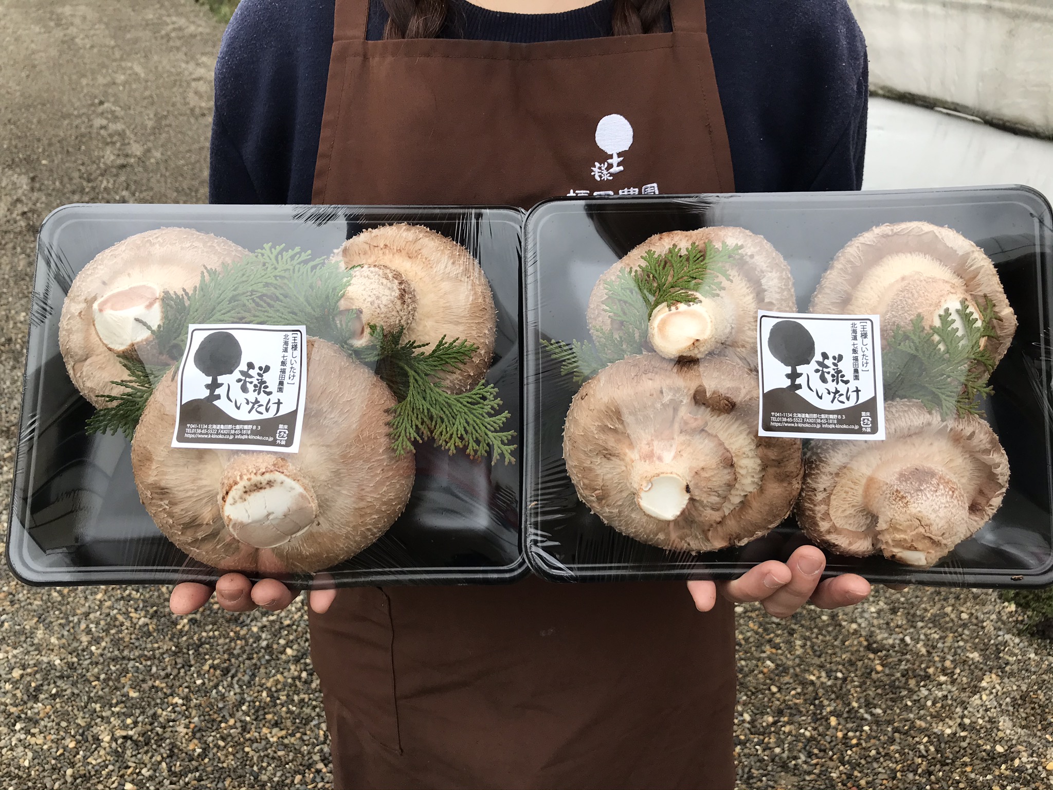 送料込】予約受付中!! 王様しいたけ特大2ﾊﾟｯｸｾｯﾄ | 有限会社 福田農園