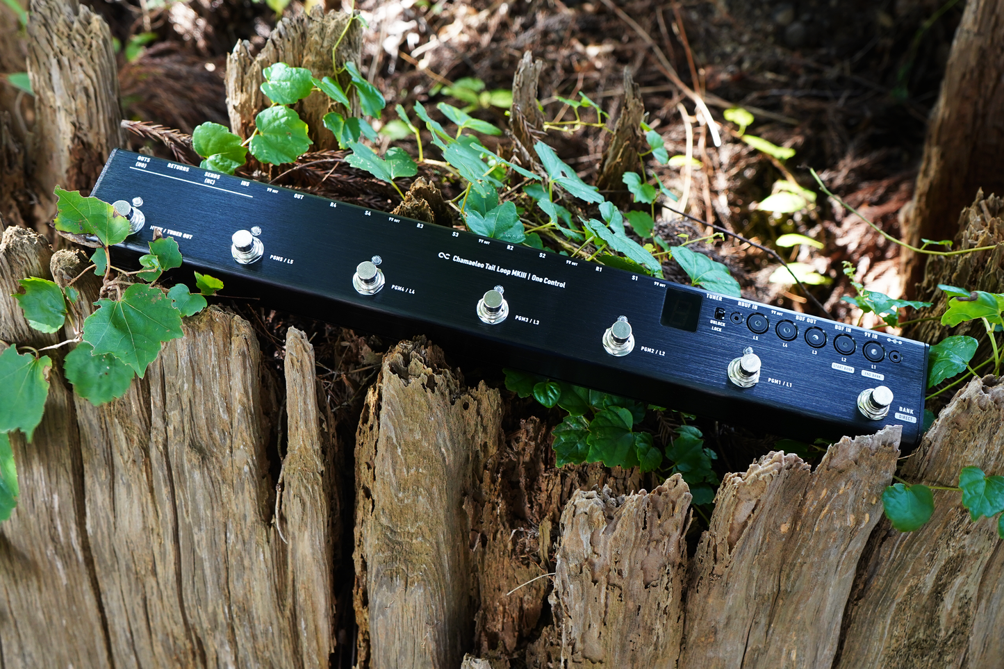 One Control Chamaeleo Tail Loop MKIII – OneControl