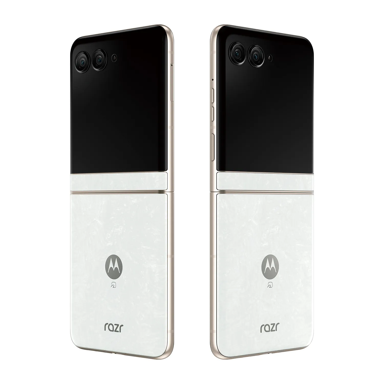 motorola razr 50d M-51E｜NTTドコモビジネスオンラインショップ｜NTT