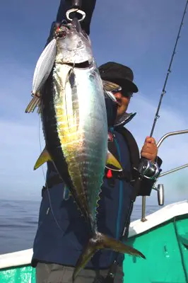 ソルティガ BJ AGS 64B-4 ソルティガ BJ AGS 64B-4 - 53,300円 : 海