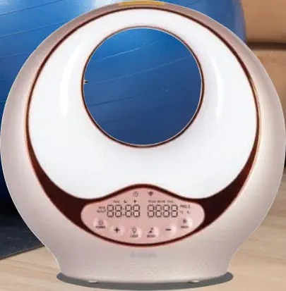 OLYLIFE INTERNATIONAL