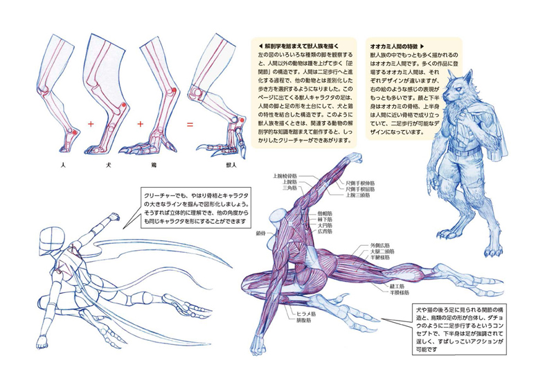 キム・ラッキの人体ドローイング | Ohmsha