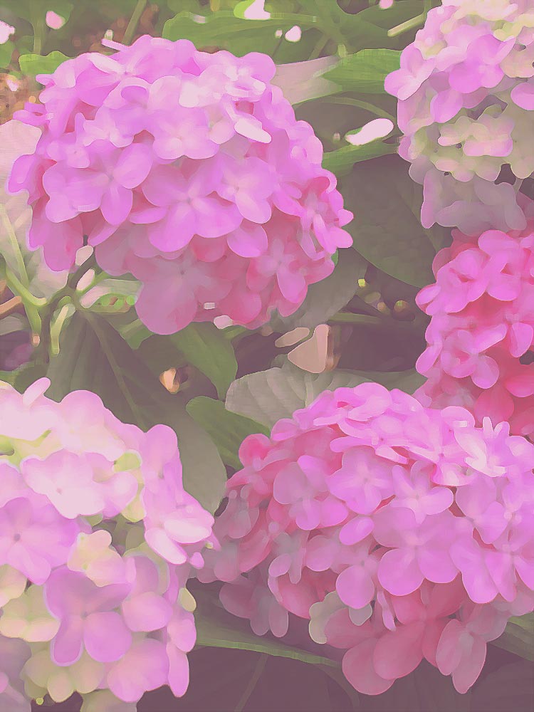 三岸節子 黄色い花 | 絵画など美術品の販売と買取 | 東京・銀座 おいだ美術