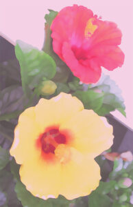 池田満寿夫 ベランダの女 | 絵画など美術品の販売と買取 | 東京・銀座