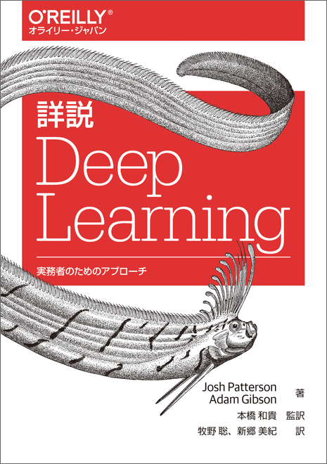 詳説 Deep Learning - O'Reilly Japan