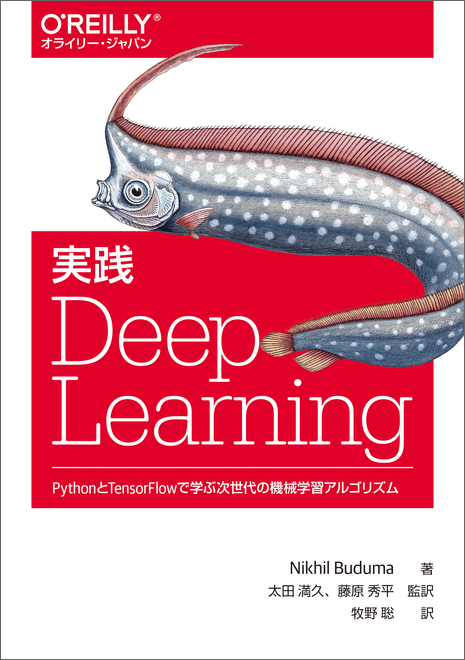 実践 Deep Learning - O'Reilly Japan