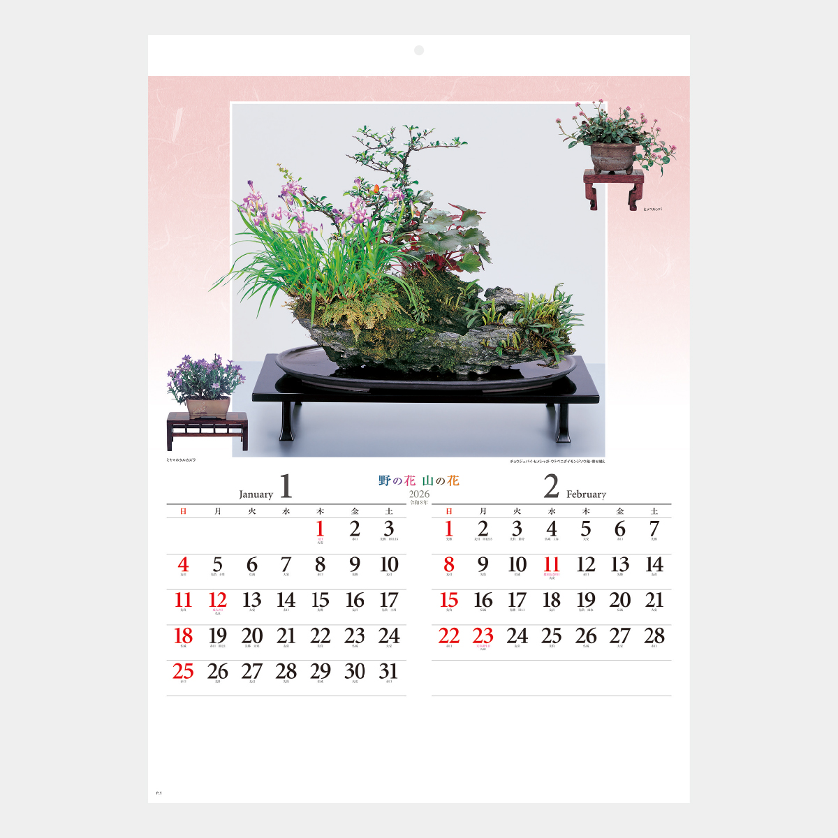 NK-46 野の花・山の花(山野草盆栽集)2026年版の名入れカレンダーを格安