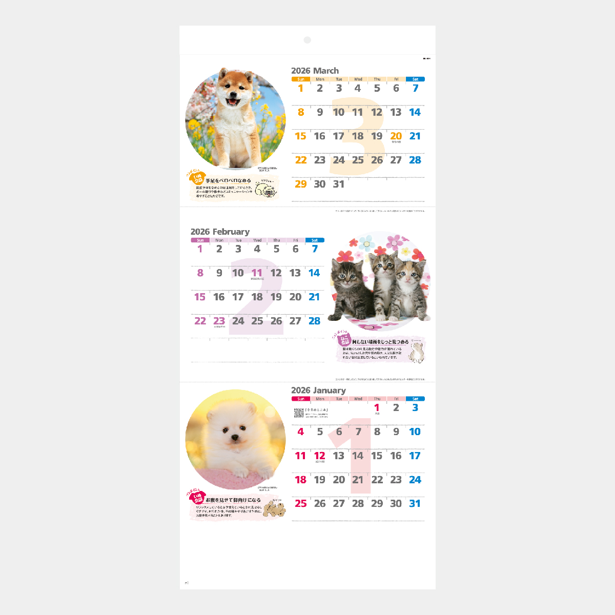 NK-914 ハッピーチャット－いぬねこことば－2026年版の名入れ