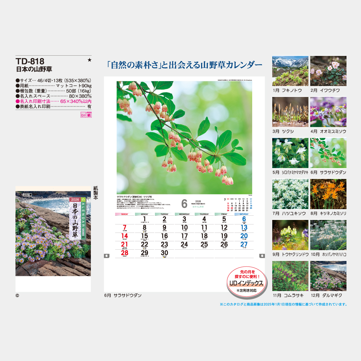 TD-818 日本の山野草2026年版の名入れカレンダーを格安で販売 - 名入れ