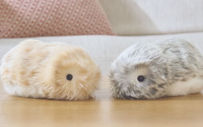 カシオから、飼い主になつく癒しのAIペットロボット「Moflin（モフリン