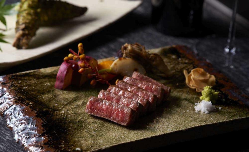 紅葉 Koyo (代理人)様ご確認苗 レイジェントリー4と此の糸2点セット苗 楽天市場】モミジ 京の糸(キョウノイト) 苗木 4号ポット苗（J03