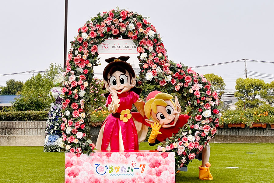 70周年で進化…ひらパーのローズガーデン開幕、ツウな楽しみ方は