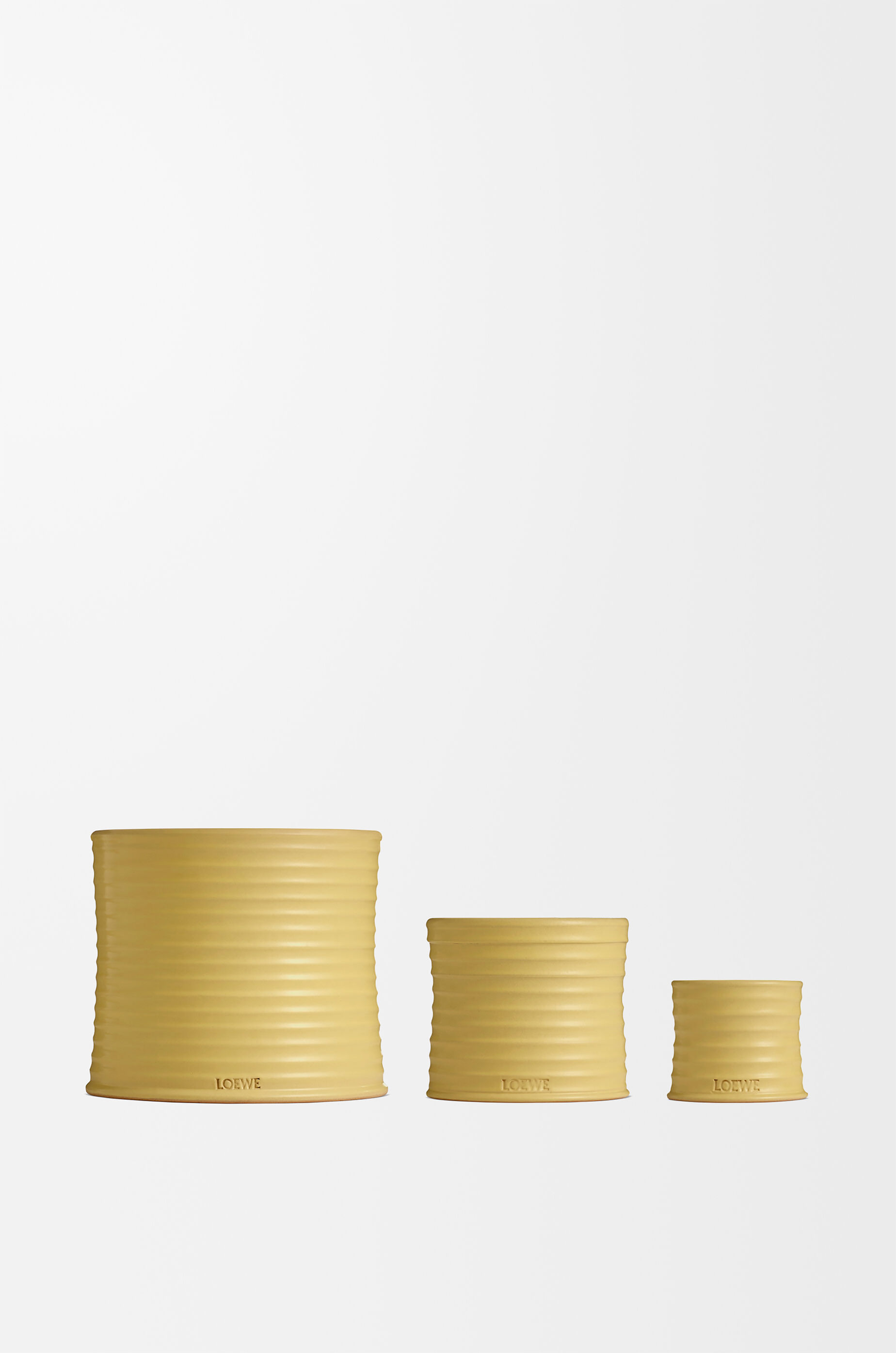 ハニーサックル キャンドル スモール イエロー - LOEWE Japan official