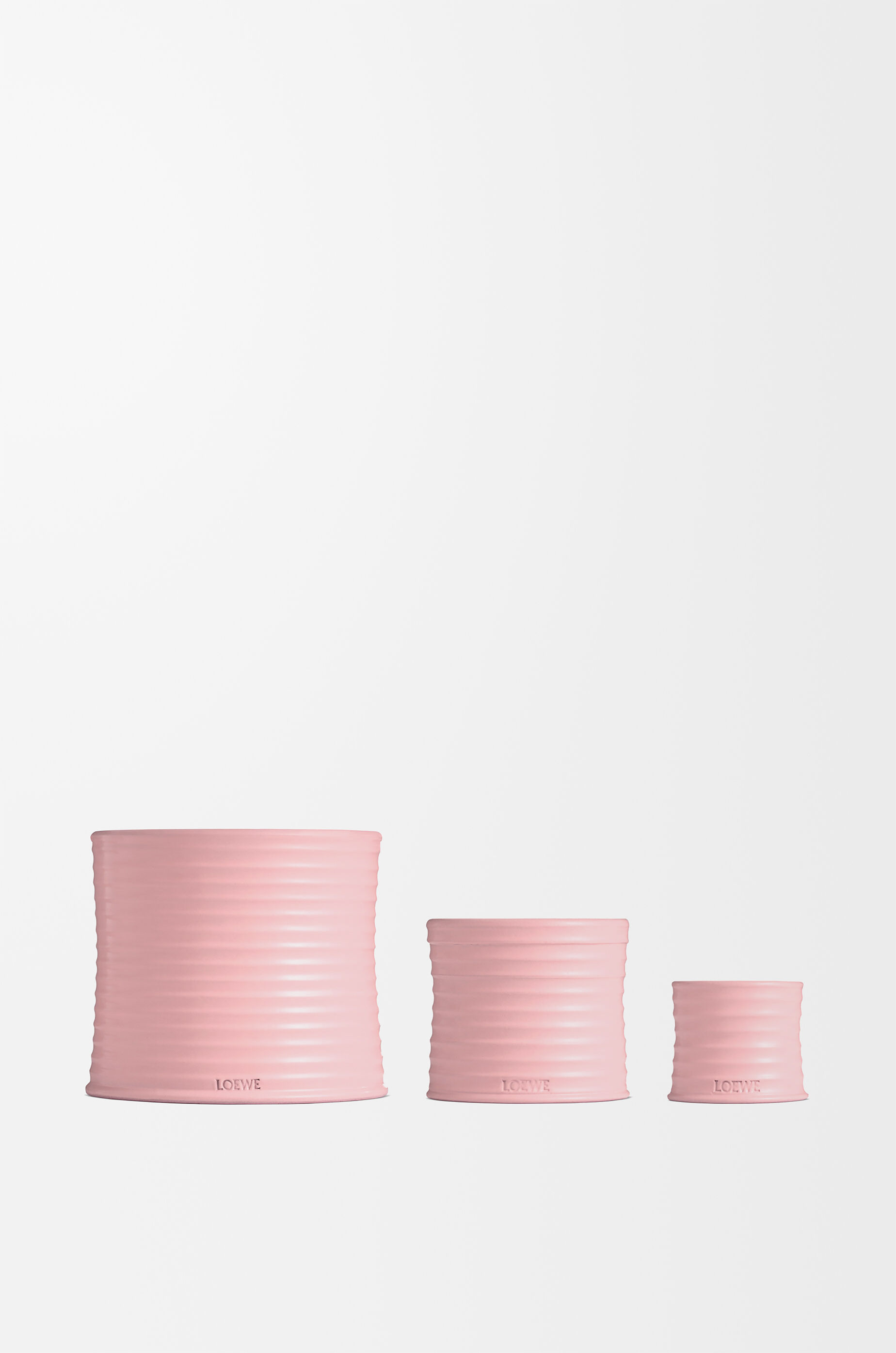 アイビー キャンドル スモール ピンク - LOEWE Japan official website