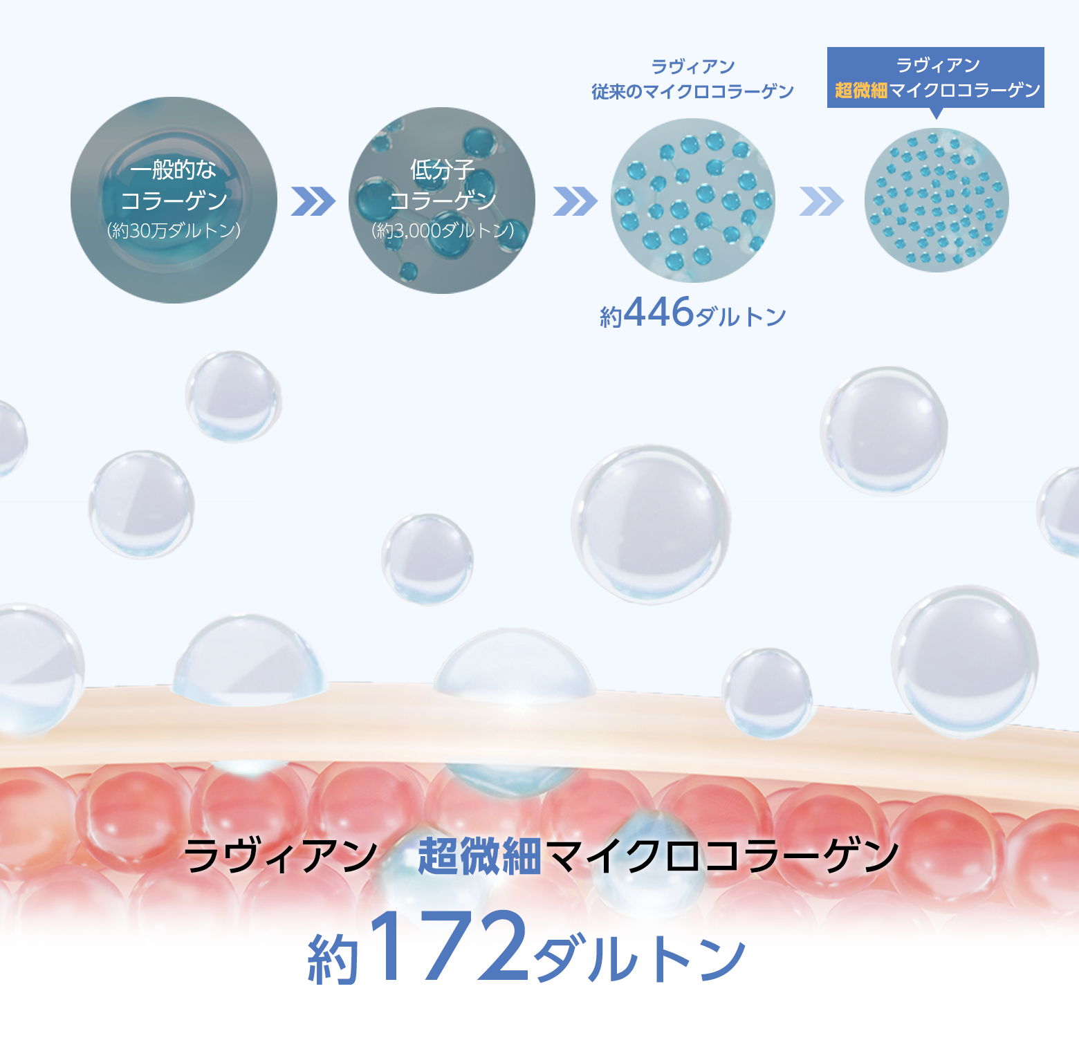 コラーゲン プロフェッショナル プログラム | LAVIEN JAPAN