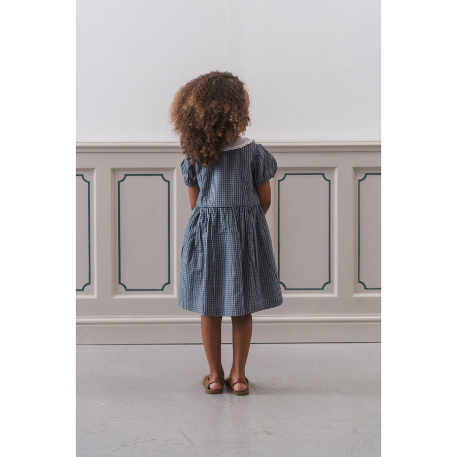 Little Cotton Clothes Little Blue Check Organic Audrey Dress – Ladida