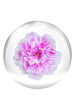 ヴァルモン ヴァイタリティ スキンケアコレクションのヴァイタル24ライト