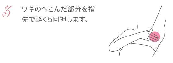 大人のボディケア エルモイス｜エステティックサロン用化粧品