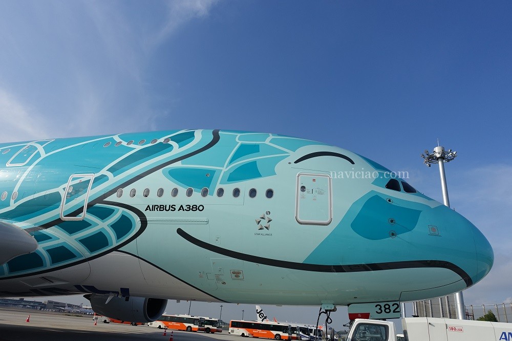 締め切り間近】GWに7回実施を発表！ANA「フライングホヌ」のチャーター