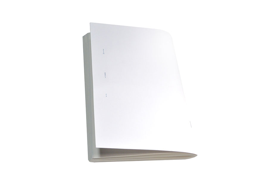 カナリア門 / CANARY – MON | Lieko Shiga