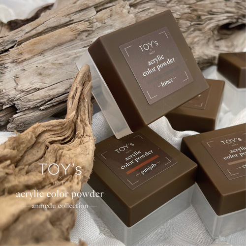 TOY's×INITY | アクリルカラーパウダー アンメデュー10色セット