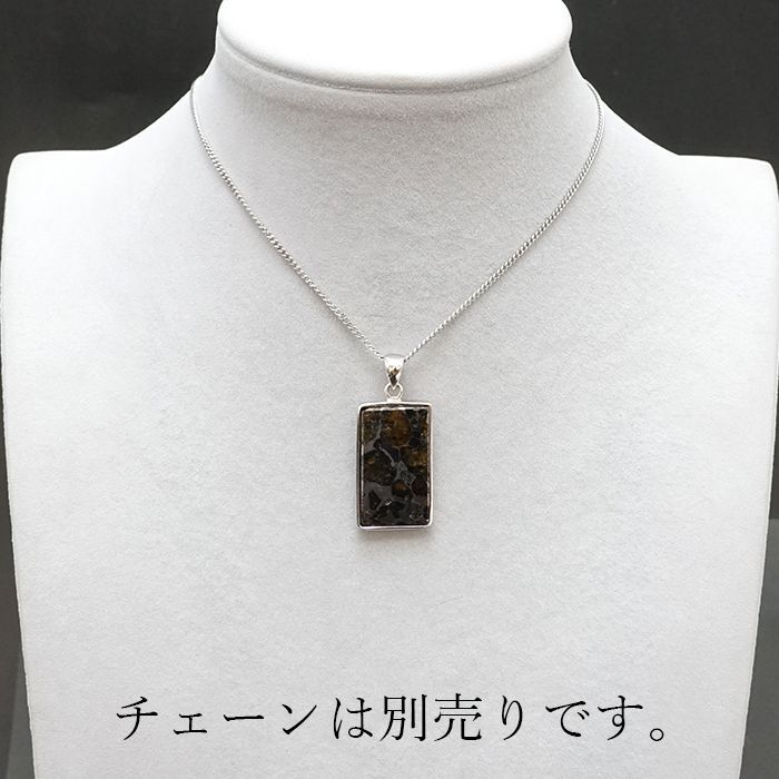 パラサイト隕石 アルタイ隕石 ペンダントトップ 隕石 重さ約23g 共箱