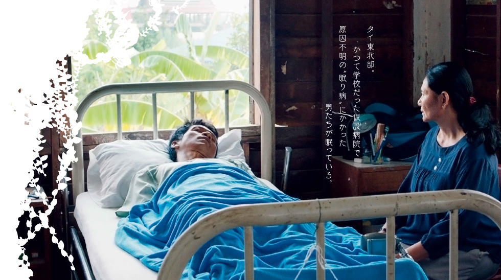 光りの墓』─2016年3月シアター・イメージフォーラムほか全国順次公開！