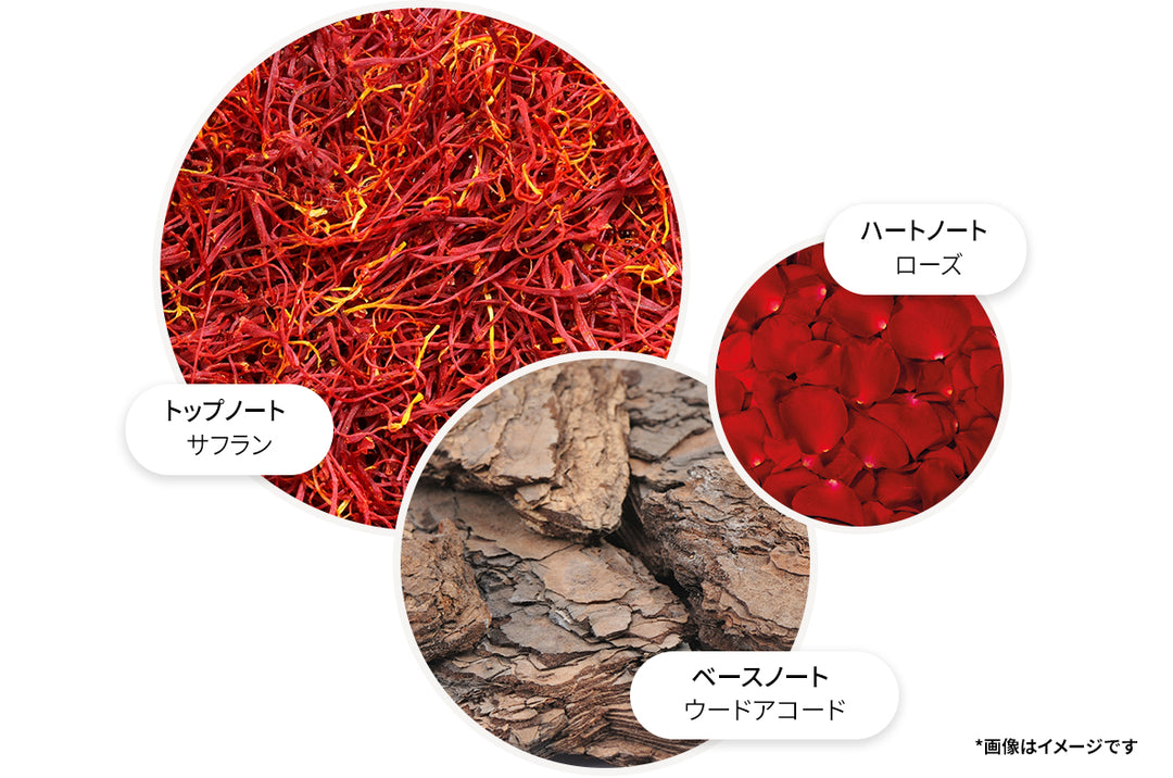 ローズデューン ボディケア ギフトセット 300ml×2 – MOLTON BROWN