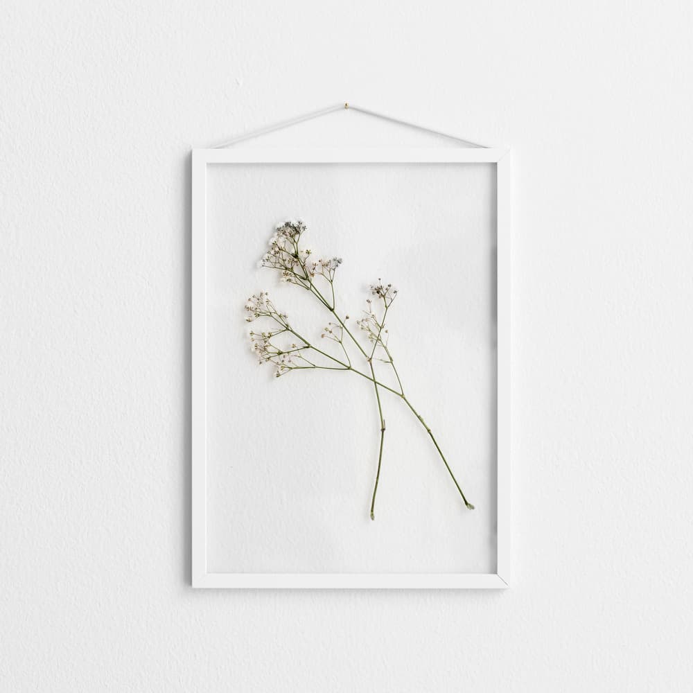 Moebe フレーム A4 ホワイト(A4 ホワイト)：ポスター & アーティスト