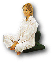 座椅子タイプのバランスチェア！HAGバランスマルチシット｜問屋卸し