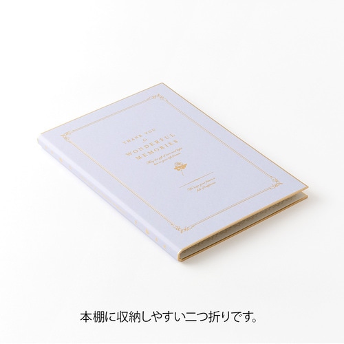 MDS BtoB |#デザインフィルミドリ(国内販売のみ） 色紙 カラー色紙