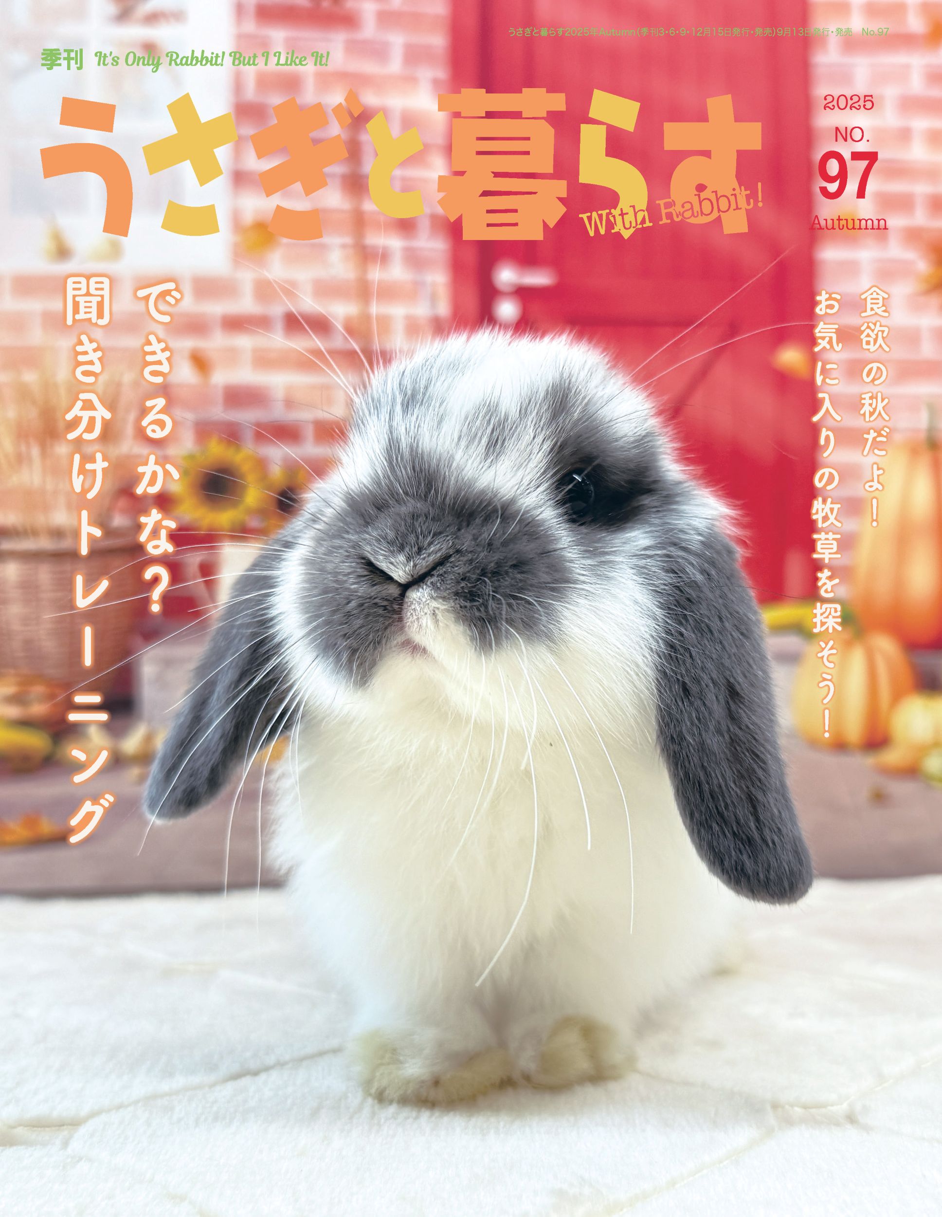 うさぎと暮らす No96（2025年Summer） | メディアパル