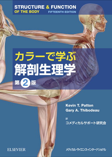 MEDSi)株式会社 メディカル・サイエンス・インターナショナル / NYSORA