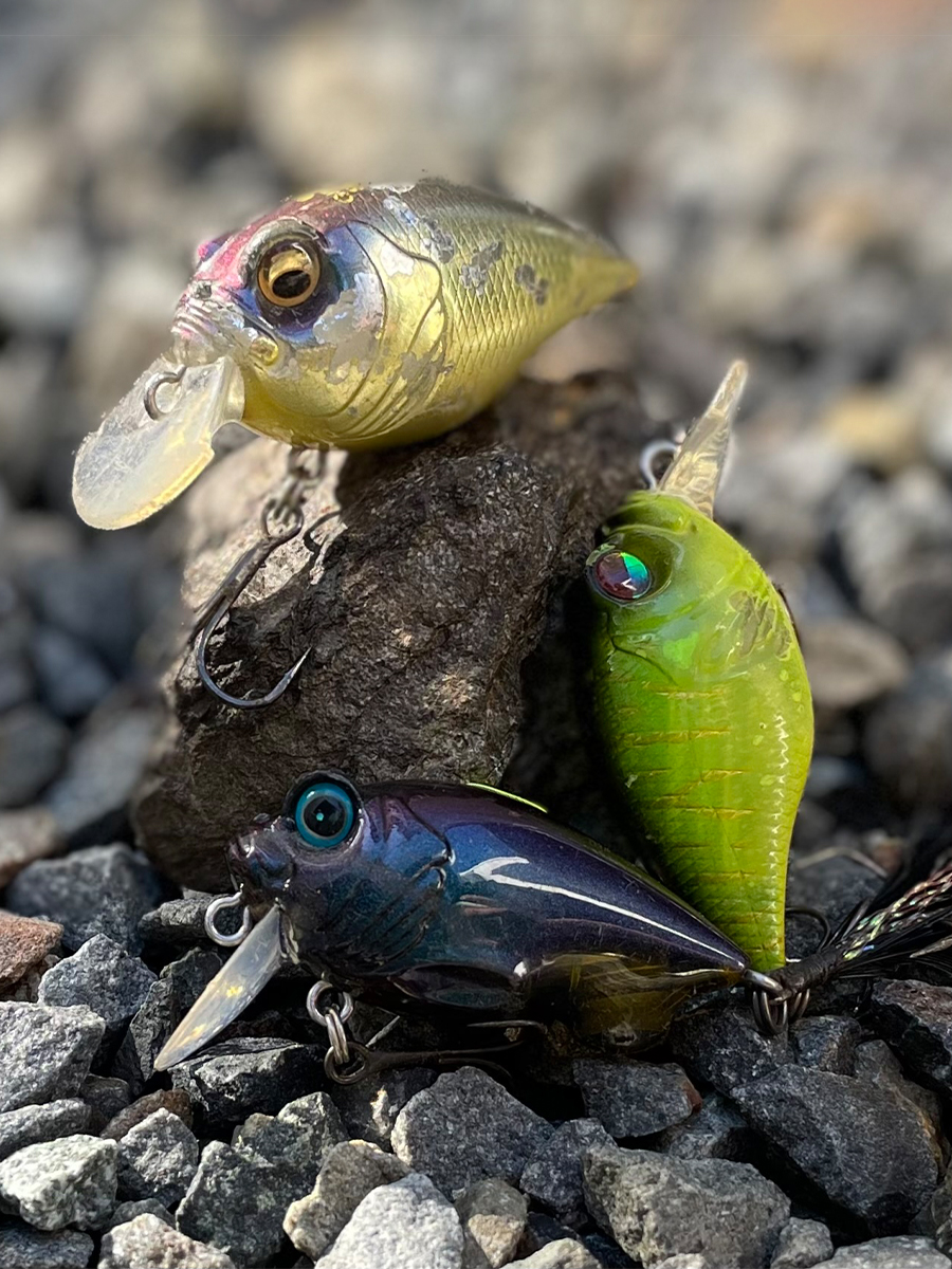 8年ぶりのモデルチェンジ！～3代目グリフォン！～ | Megabass-メガバス