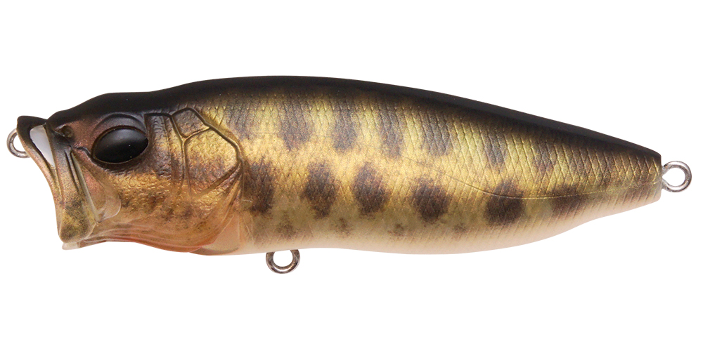 POPMAX | Megabass-メガバス