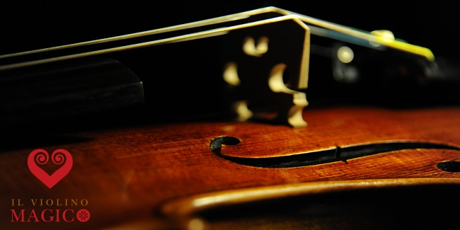 初心者 バイオリン サントヴェルデ | バイオリン専門店